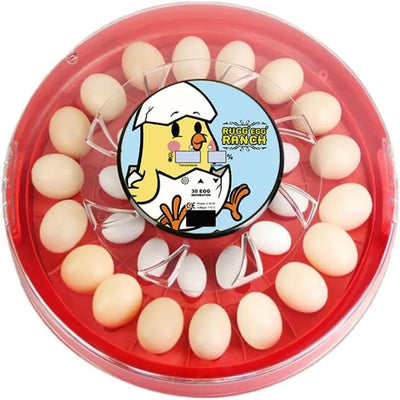 Automatic 30-egg incubator for chickens, ducks, and quails, featuring temperature and humidity control