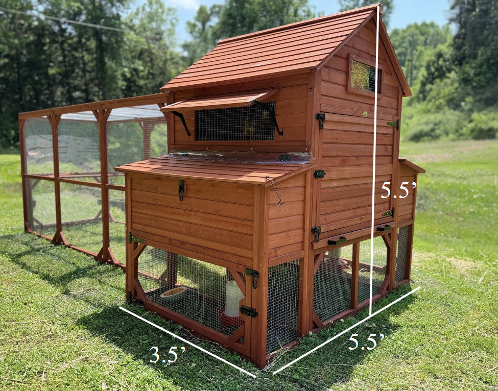 Best dimension for chicken Coop