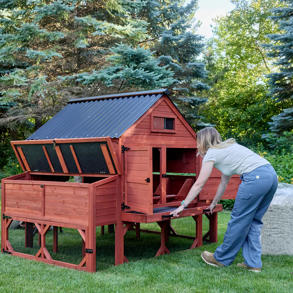 Orpington Lodge Chicken Coop