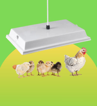 Big Chicken Co Heater