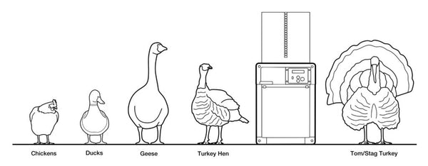 Chicken Guard All In One Size comparison