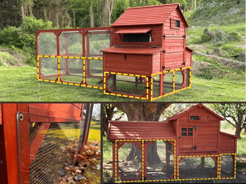 Chicken Coop