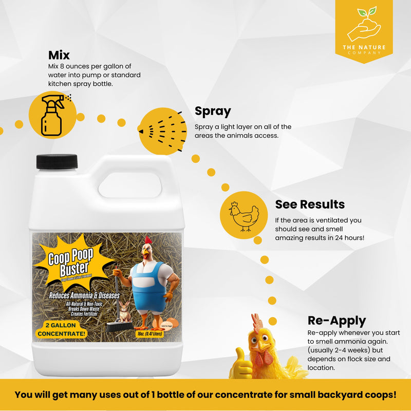 Infographic for Coop Poop Buster concentrate. Features a bottle with instructions to mix, spray, see results, and re-apply for reducing ammonia. Includes chicken graphics and a tone of practicality and efficiency.