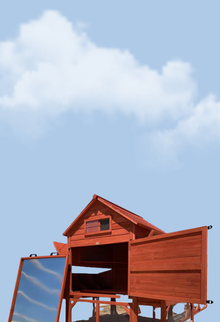 Chicken Coop