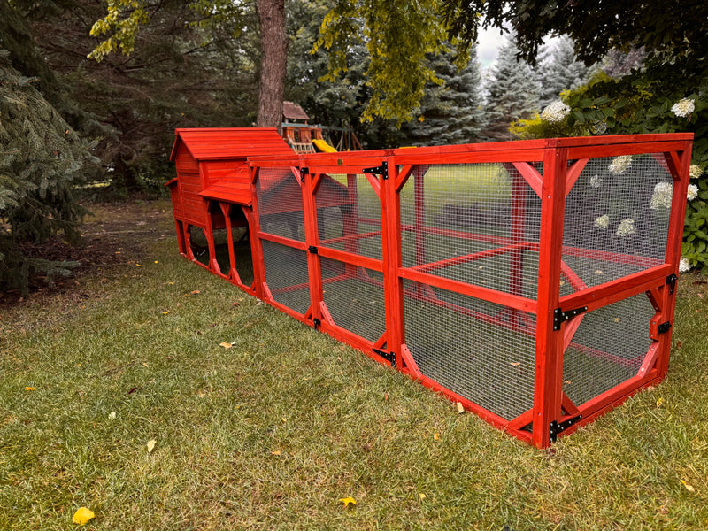 Leghorn Cottage Coop with run: elevated red wooden coop, nesting areas, wire-enclosed run for 4-6 chickens, predator-resistant structure.