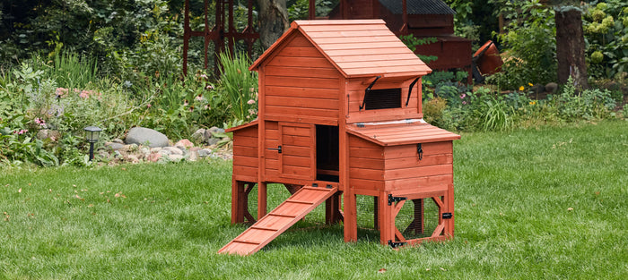 Red wooden Orpington chicken coop with open access door, nesting box, and front ramp in a landscaped garden