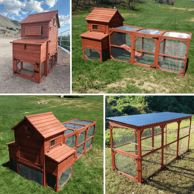 Orpington chicken coop Bundle