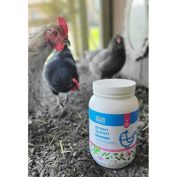Preen Queen Dust Bath Additive for chickens, natural blend to support feather and skin health