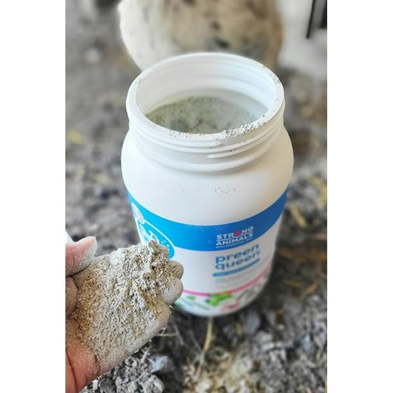 Preen Queen poultry dust bath additive, supports hygiene and mite prevention in backyard flocks