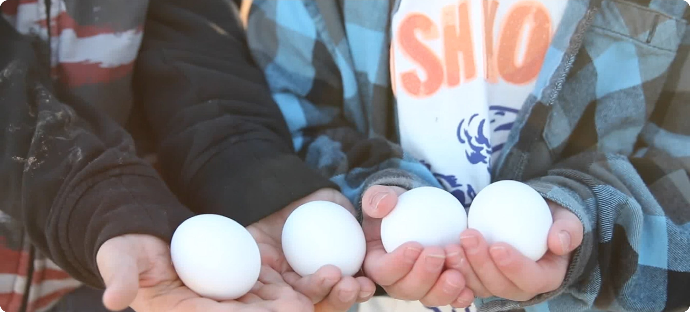 Quality of eggs