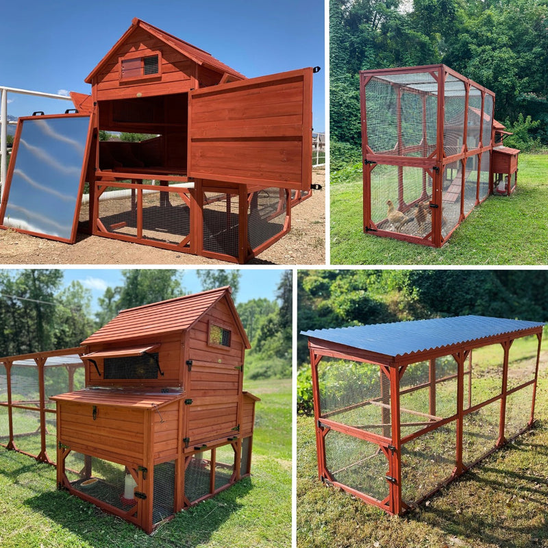 Complete chicken coop setup with run and cover, weatherproof design for flock protection
