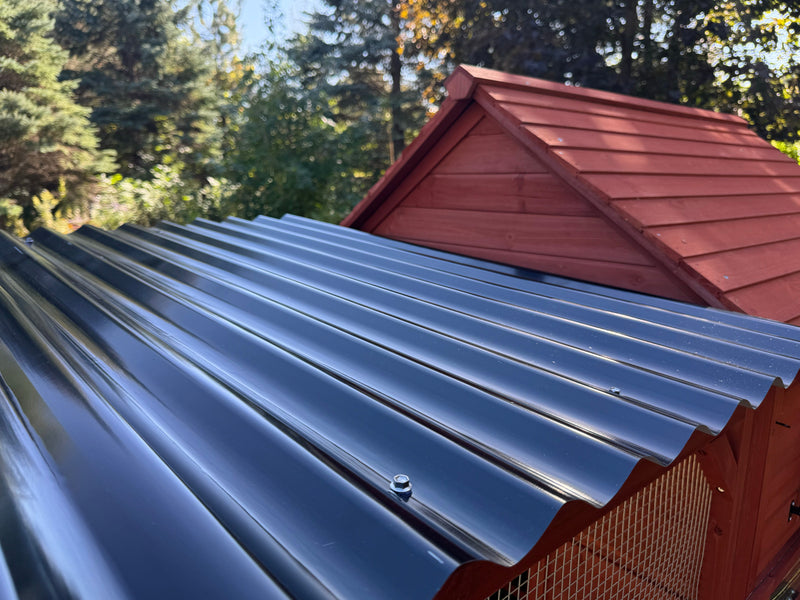 The Rhode Island Homestead chicken coop, roomy and secure shelter for laying hens