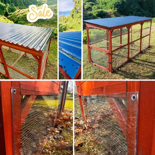 Assorted poultry treat set featuring high-protein and nutrient-rich snacks for hens