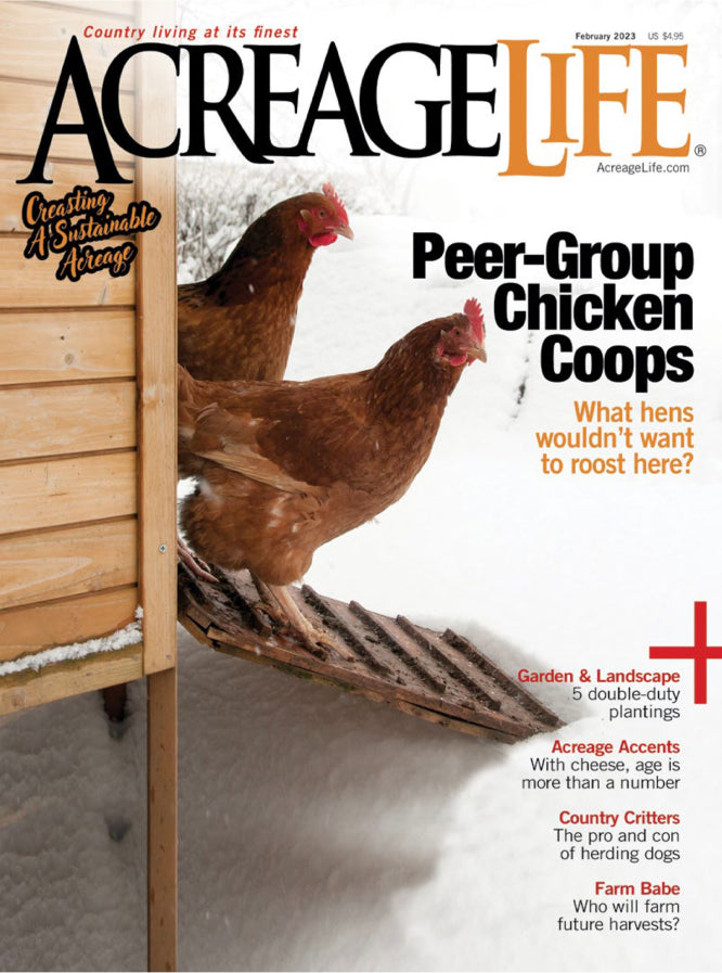 Magazine cover