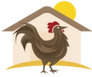 Chicken vector image