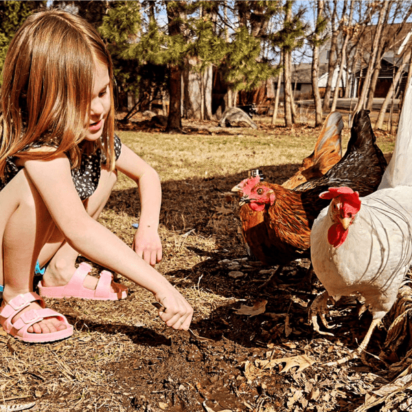 baby gril with hens
