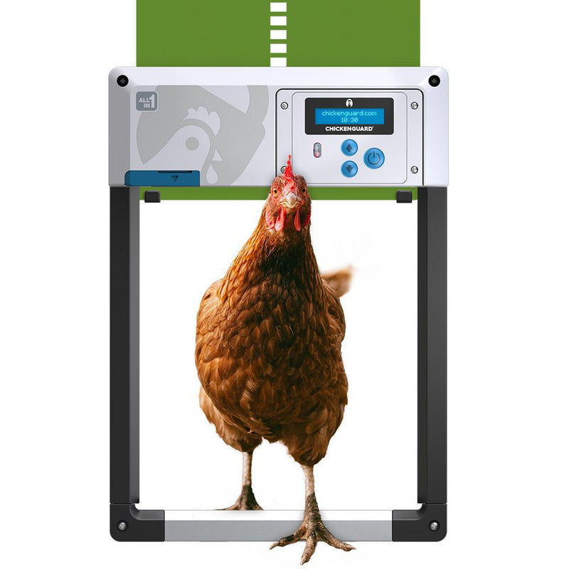 Chicken