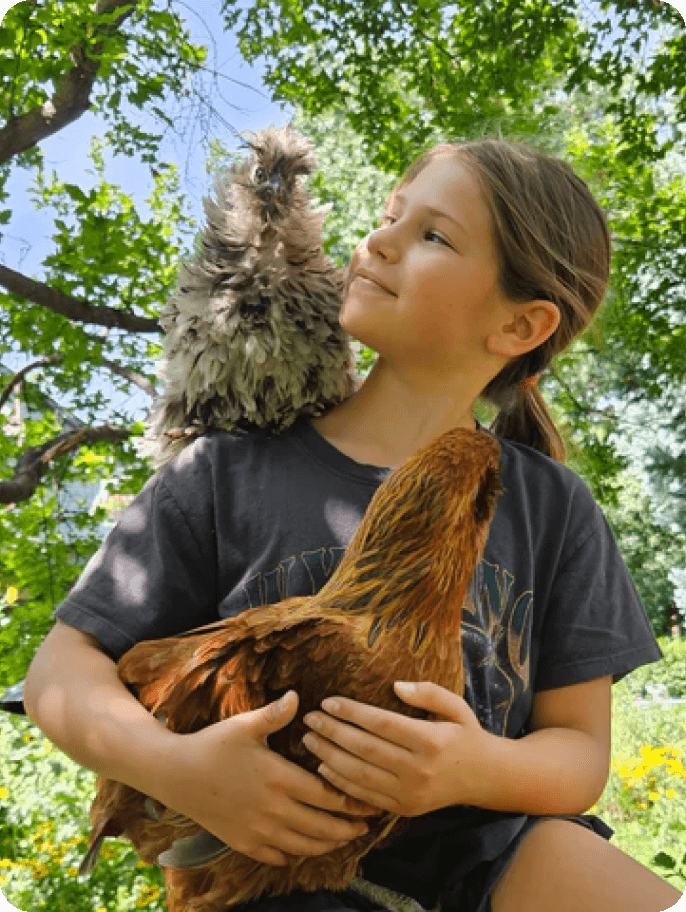 Baby girl with chicken