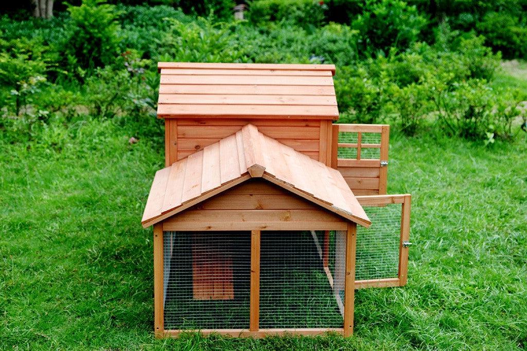 How to Deter Predators and Pests from Chicken Coops The Chicken Coop