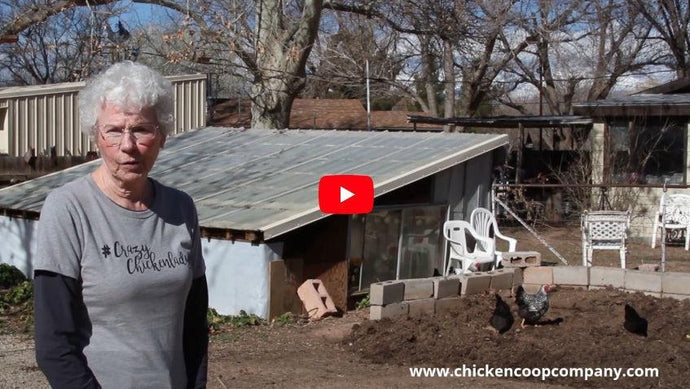 How Do Chickens Help Enhance Your Compost Pile?