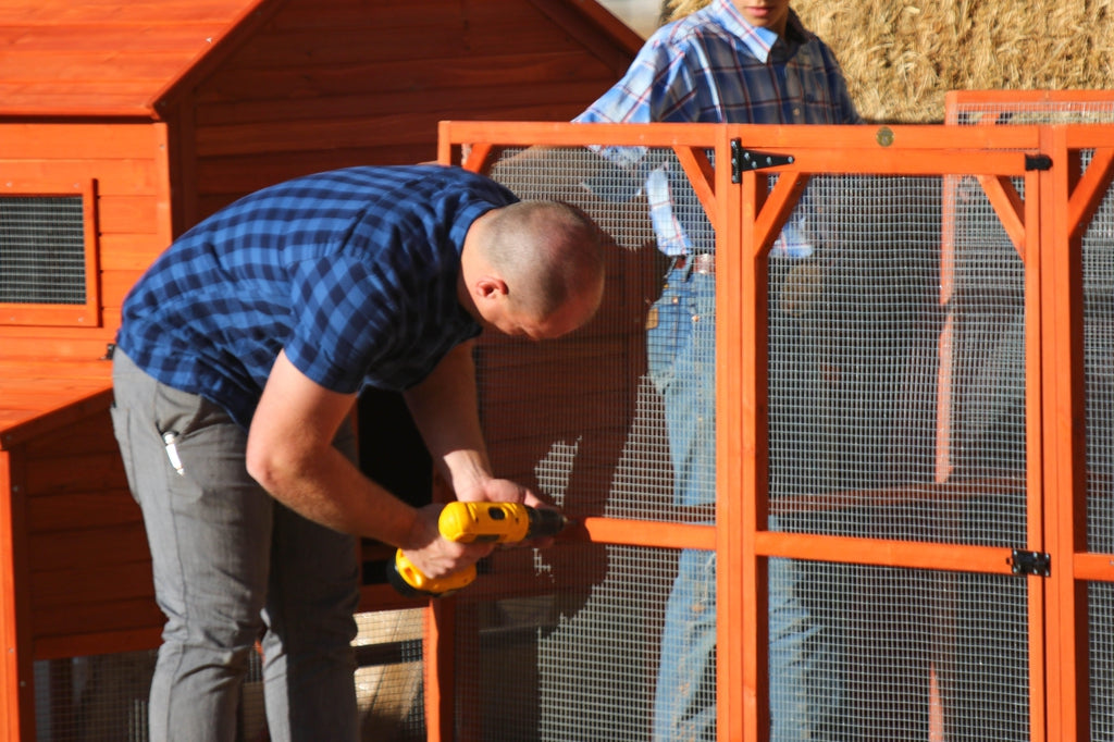 Chicken Run Extensions The Chicken Coop Company