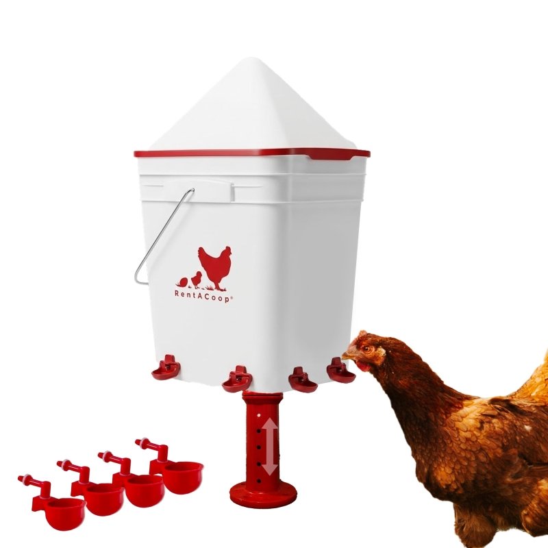 RentACoop 5 Gallon Chicken Waterer with 4 Auto-Fill Water Cups, 4 Horizontal nipples, and Adjustable Stand - Corner Placement