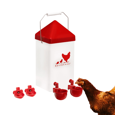 RentACoop 1 Gallon High Rise Chicken Waterer with 2 Auto-Fill Cups, Horizontal Nipples