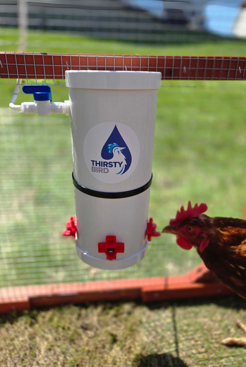 Thirsty Bird Chicken Waterer