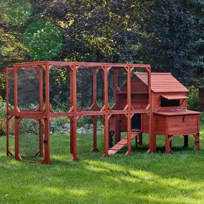 Rhode Island Homestead XL chicken coop