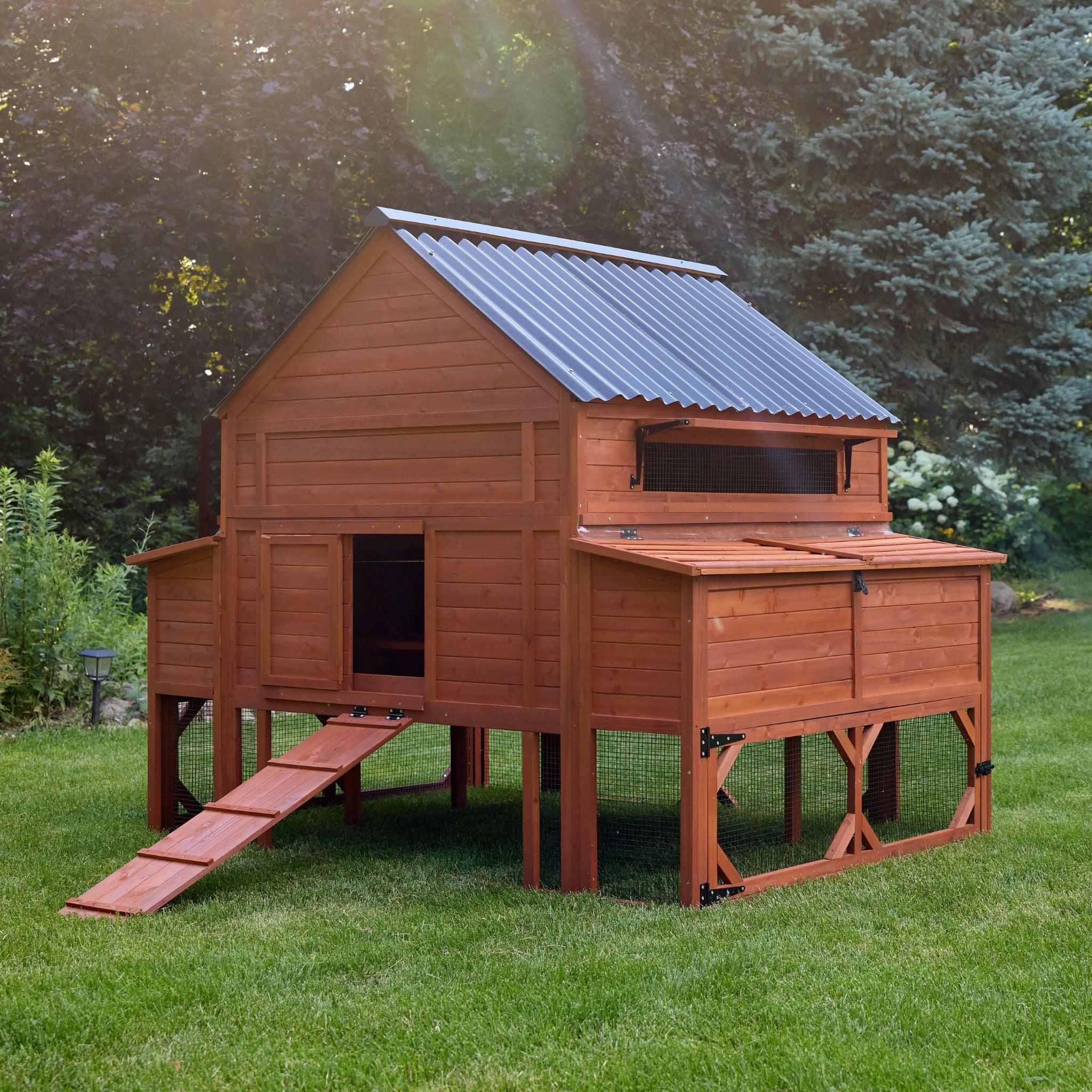 Chicken Coop for 15 Chickens – Brahma Chicken Coop