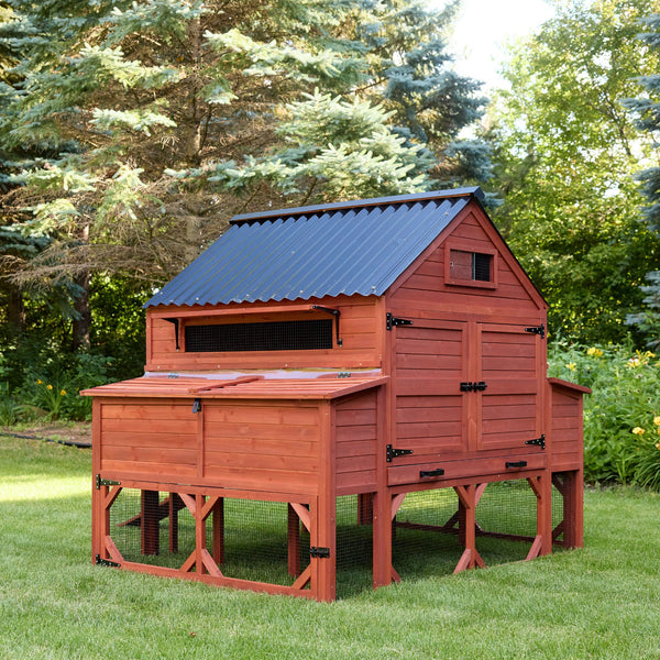 Chicken Coop for 15 Chickens – Brahma Chicken Coop
