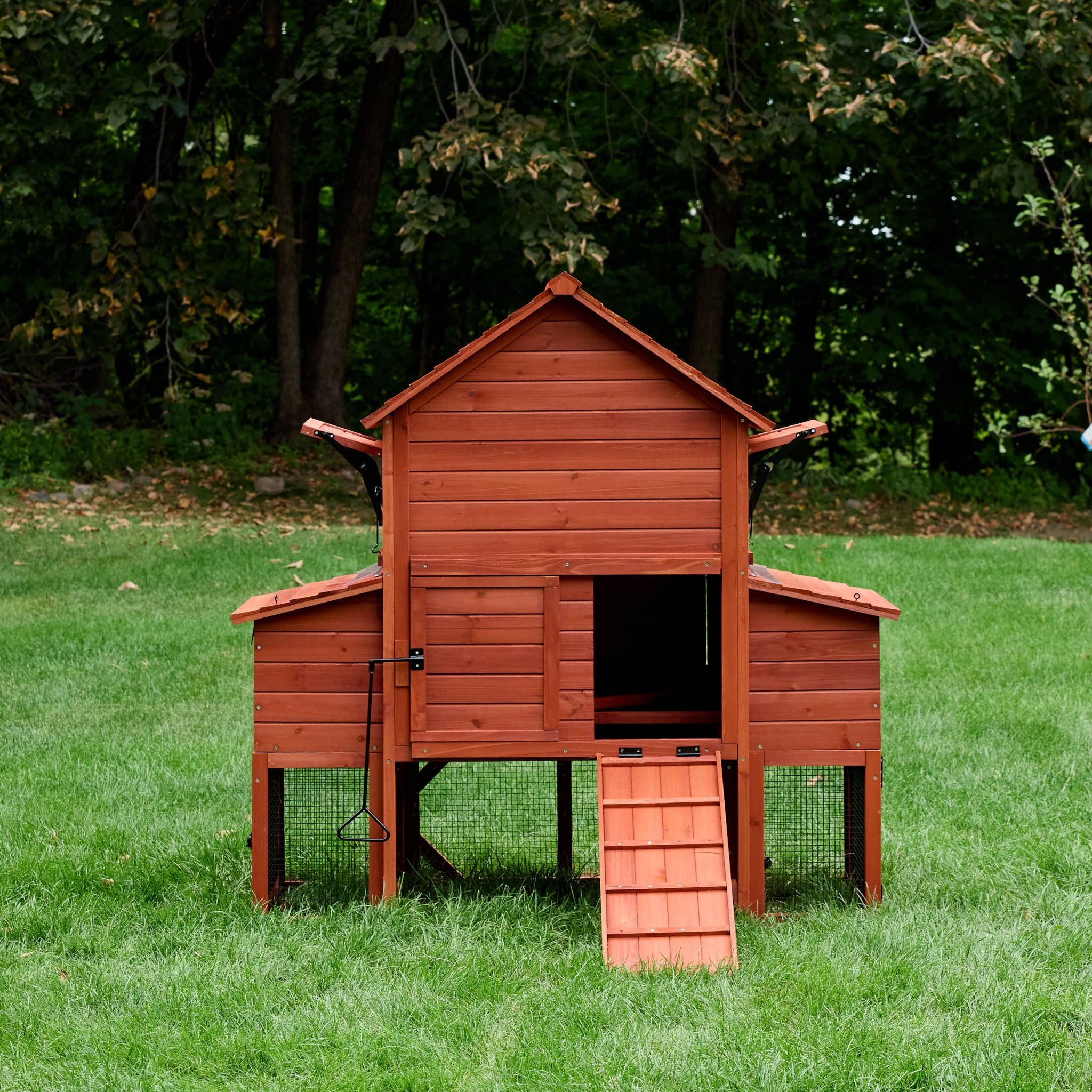 Chicken Coop for 6 Chickens – Orpington Lodge (Hen House Only)