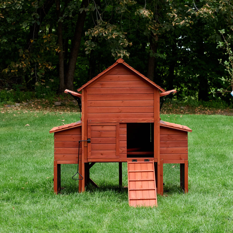 Chicken Coop for 6 Chickens – Orpington Lodge (Hen House Only)