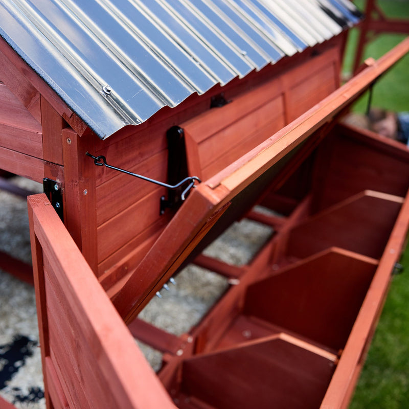 Chicken Coop for 15 Chickens – Brahma Chicken Coop