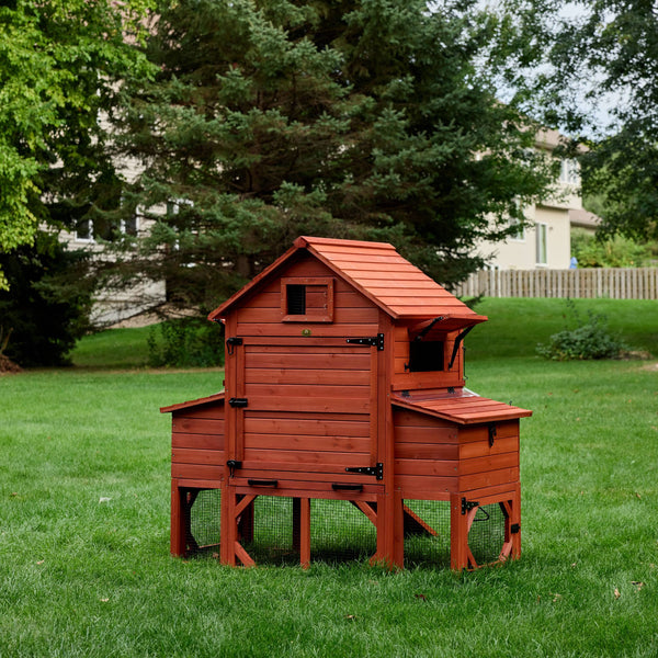 Chicken Coop for 6 Chickens – Orpington Lodge (Hen House Only)