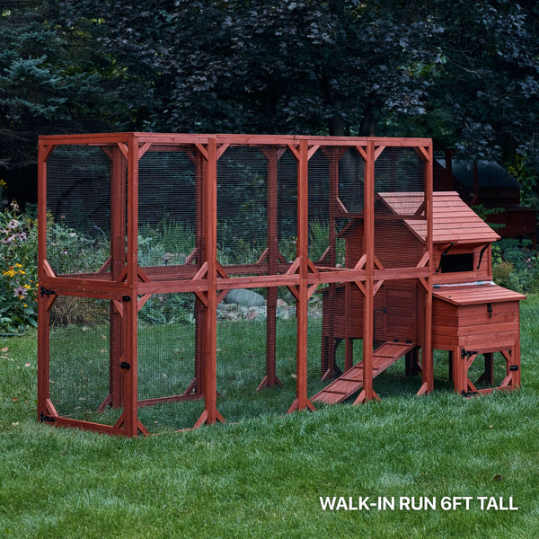 Chicken Coop for 6 Chickens – Orpington Lodge Coop with Run