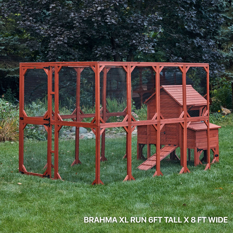 XL Brahma Chicken Run Extension 6'x8'