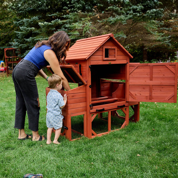 Chicken Coop for 6 Chickens – Orpington Lodge (Hen House Only)