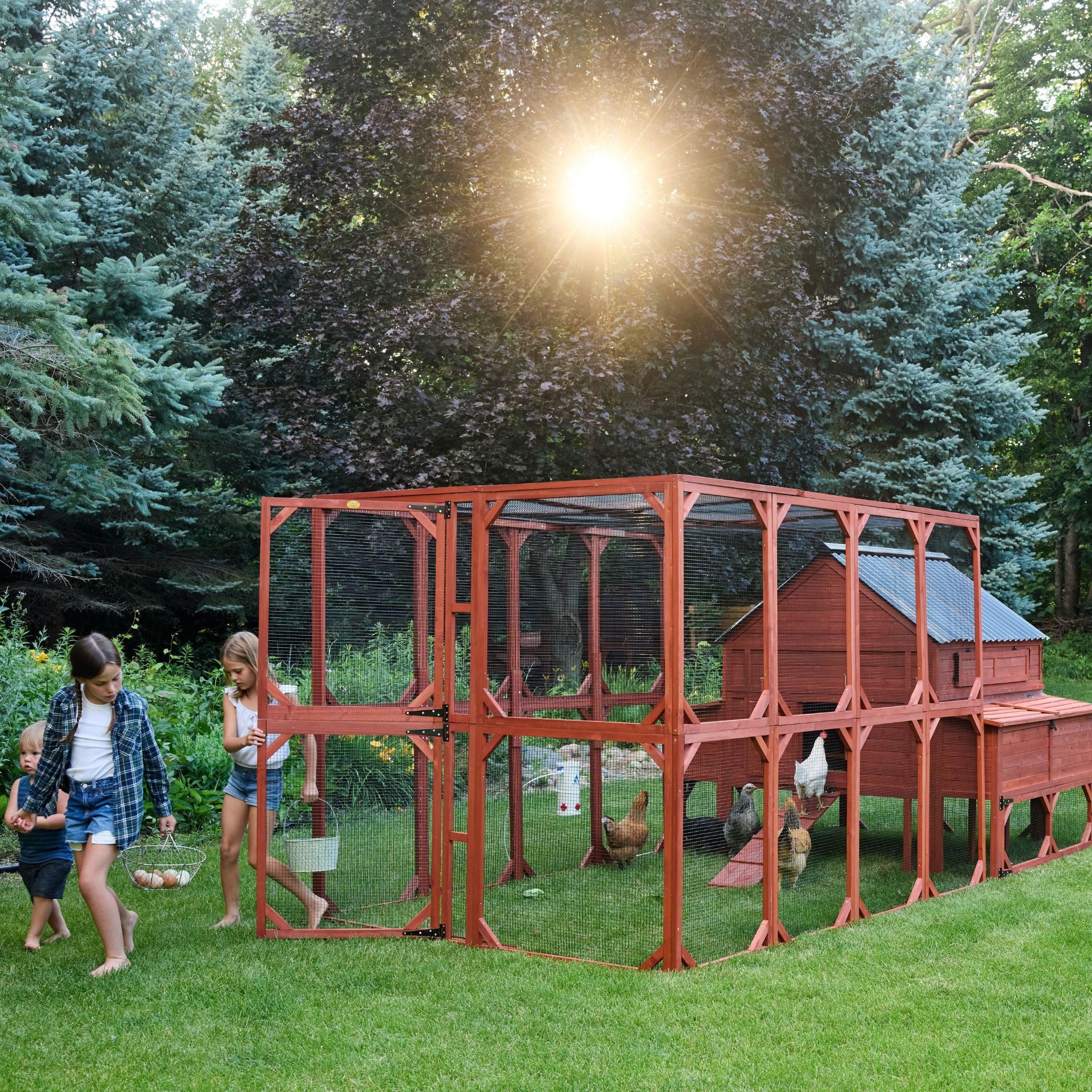 Chicken Coop for 15 Chickens – Brahma Chicken Coop