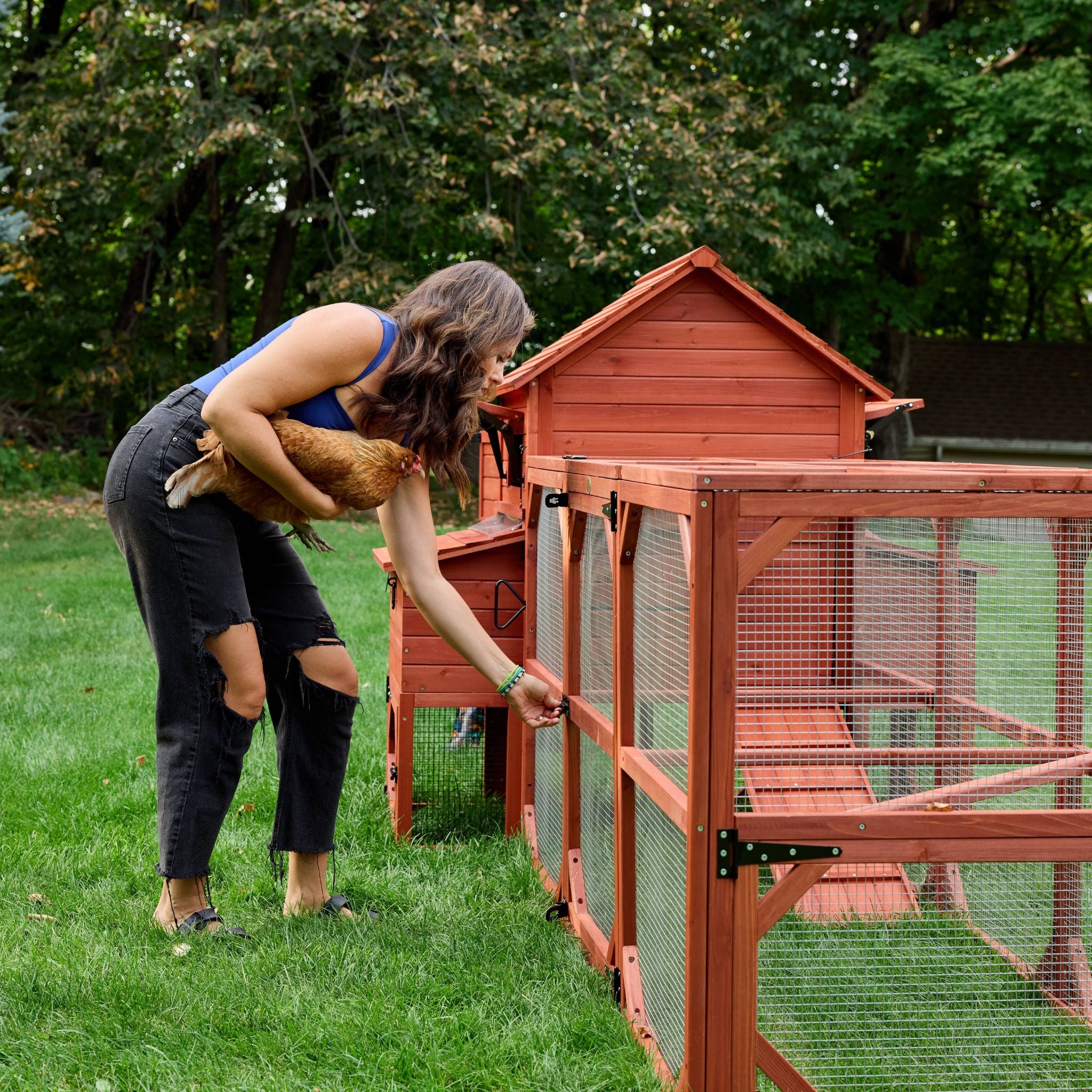 Chicken Coop for 6 Chickens – Orpington Lodge (Hen House Only)