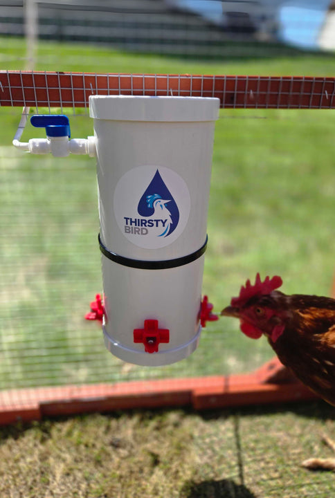 Thirsty Bird Continuous Chicken Waterer