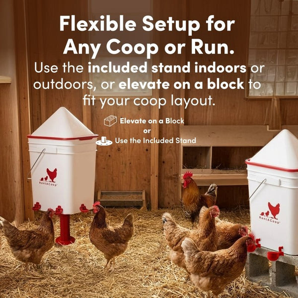 RentACoop 5 Gallon/ 4 Automatic-Fill Water Cup or Nipple Chicken Waterer with Adjustable Stand - Center Placement