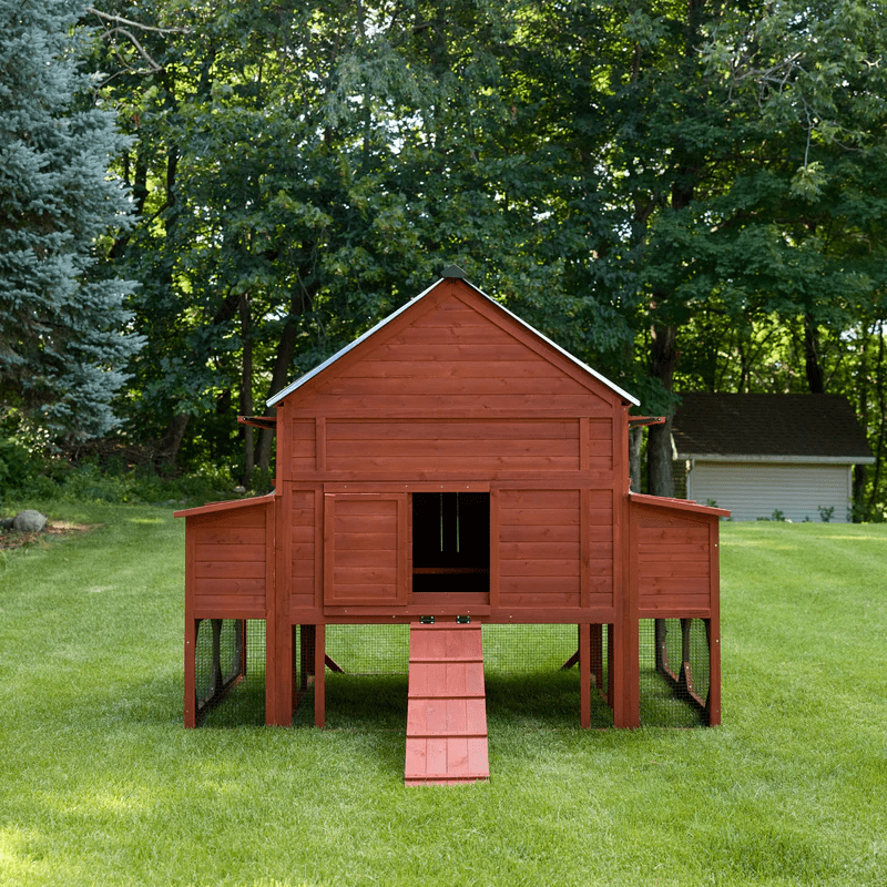 Rhode Island Homestead Chicken Coop