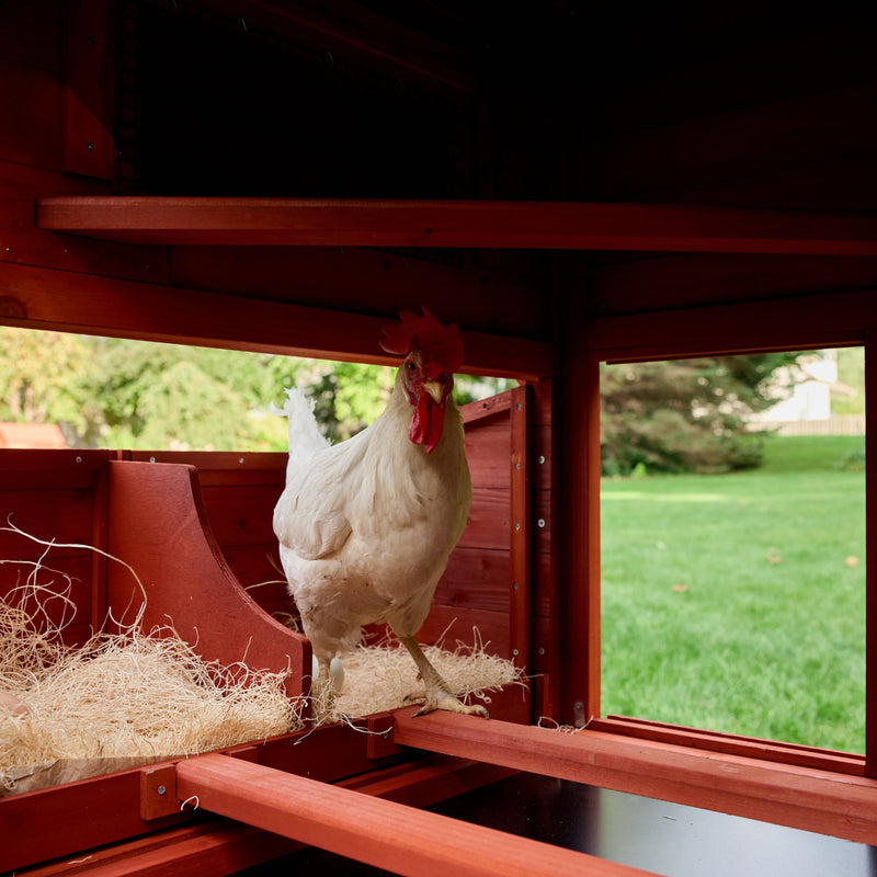 Chicken Coop for 6 Chickens – Orpington Lodge (Hen House Only)