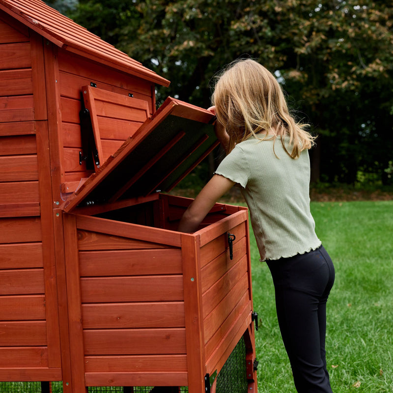 Chicken Coop for 6 Chickens – Orpington Lodge (Hen House Only)