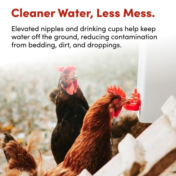 RentACoop 2 Gal Highrise Chicken Waterer with Auto-Fill Cups and Horizontal Nipples