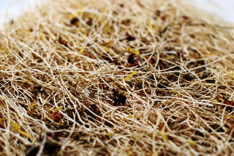 Nest pad chicken 