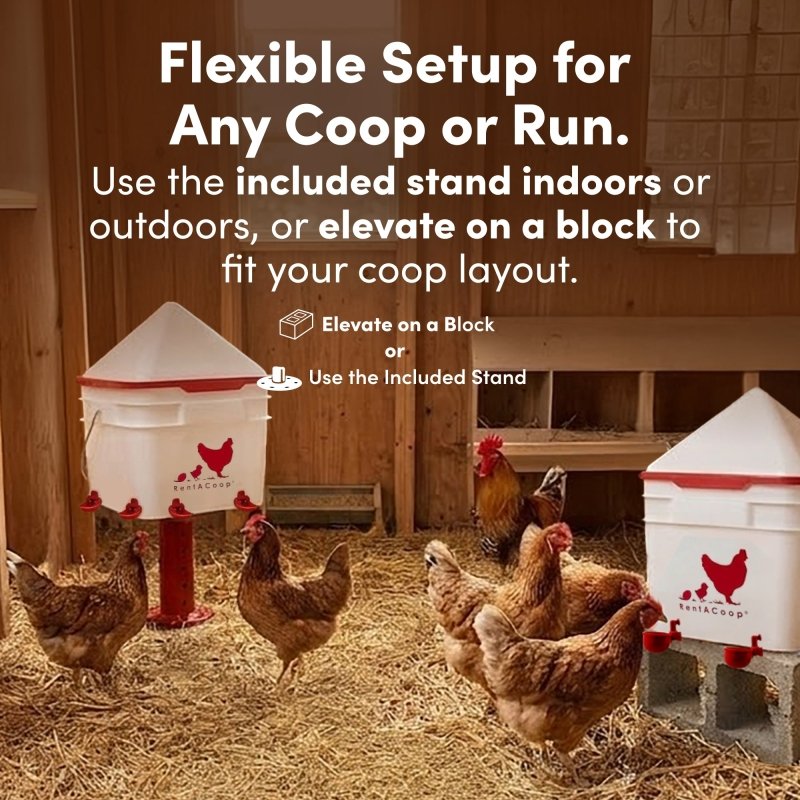 RentACoop 2 Gallon Chicken Waterer with 4 Cups and 4 Nipples - Corner Placement