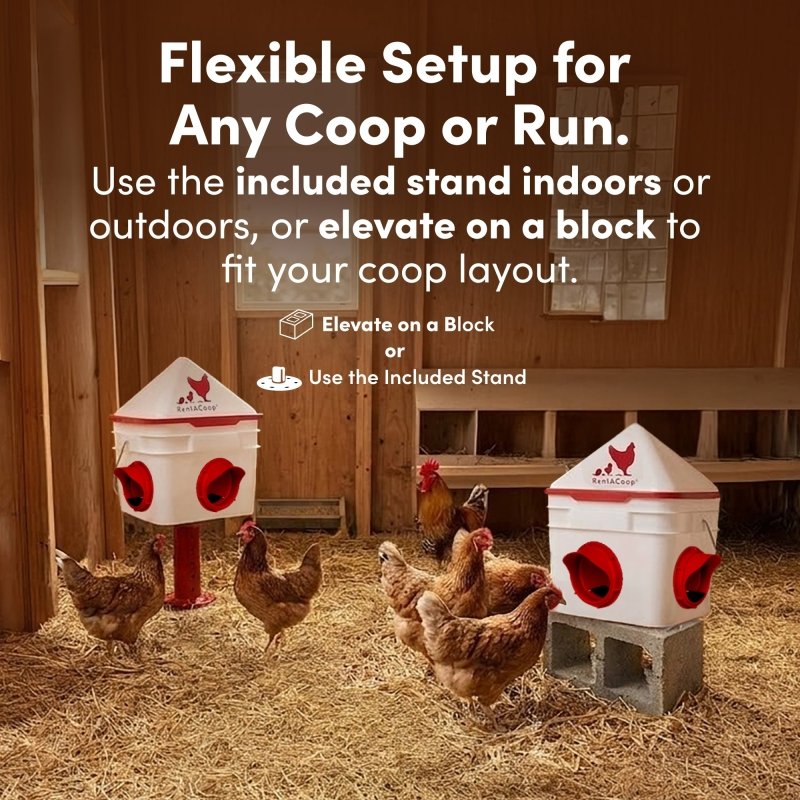 RentACoop 10lb Chick2Chicken 4-Port Chicken Feeder