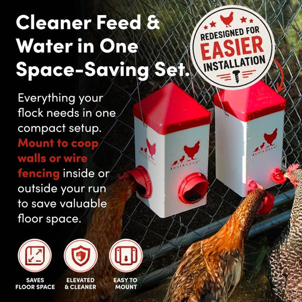 RentACoop feeder and waterer mounted on fence with chickens eating